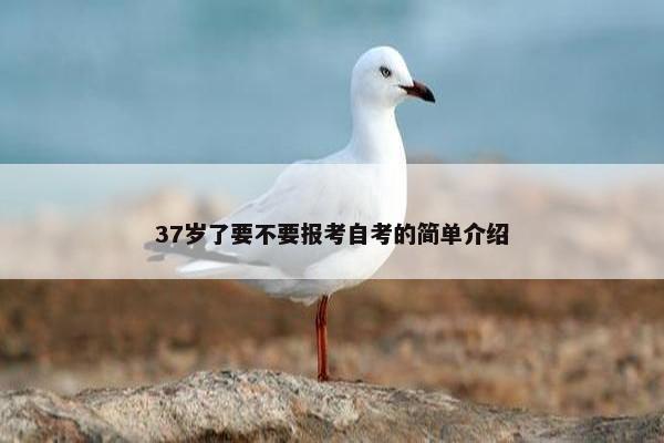 37岁了要不要报考自考的简单介绍