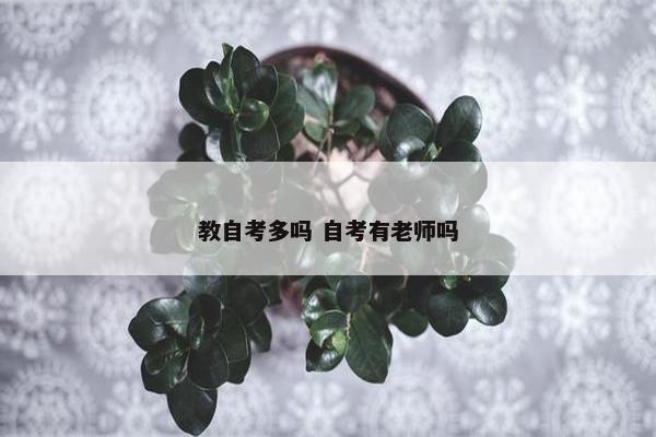 教自考多吗 自考有老师吗