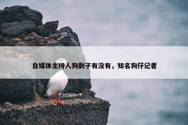 自媒体主持人狗剩子有没有，知名狗仔记者