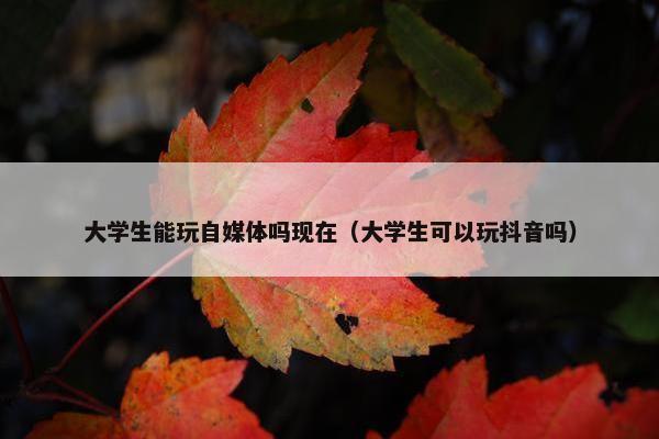 大学生能玩自媒体吗现在（大学生可以玩抖音吗）