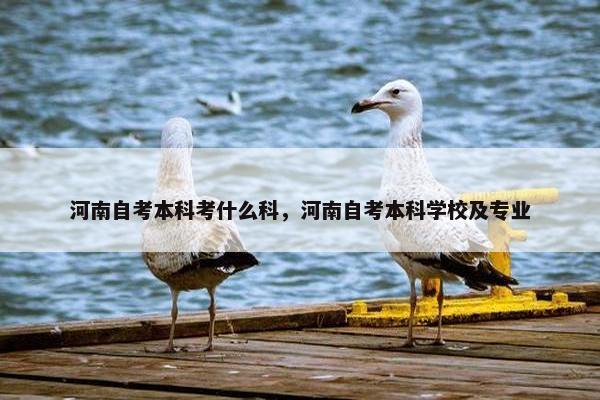 河南自考本科考什么科，河南自考本科学校及专业