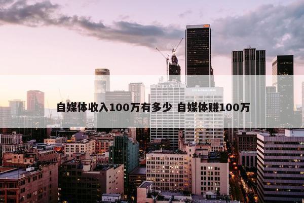 自媒体收入100万有多少 自媒体赚100万