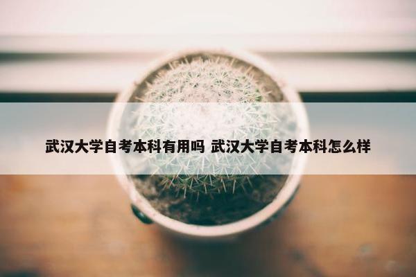 武汉大学自考本科有用吗 武汉大学自考本科怎么样