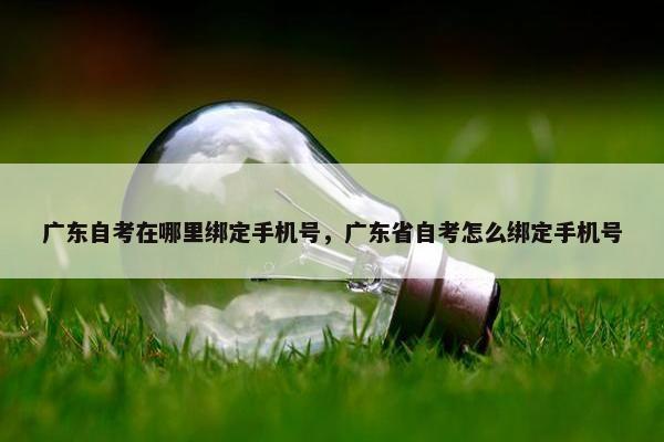 广东自考在哪里绑定手机号，广东省自考怎么绑定手机号