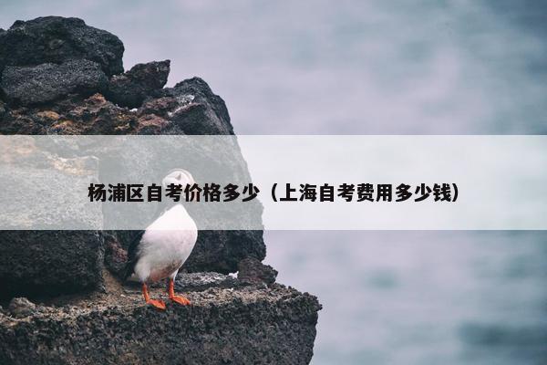 杨浦区自考价格多少（上海自考费用多少钱）