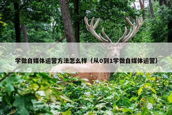 学做自媒体运营方法怎么样（从0到1学做自媒体运营）