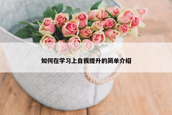 如何在学习上自我提升的简单介绍