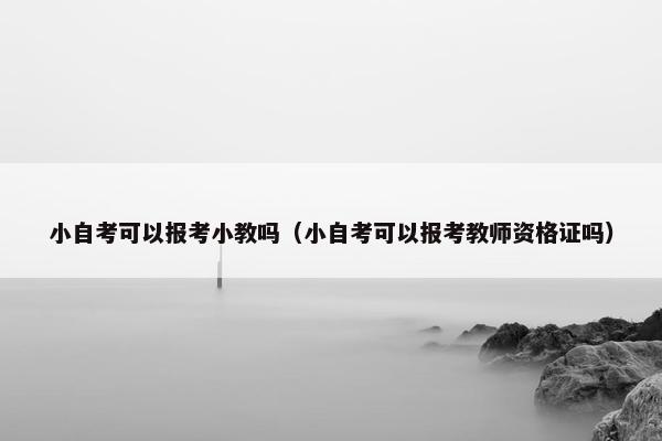 小自考可以报考小教吗（小自考可以报考教师资格证吗）