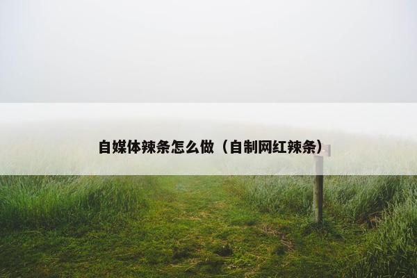 自媒体辣条怎么做（自制网红辣条）