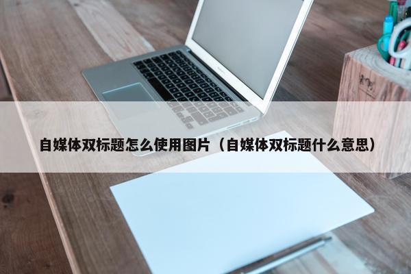 自媒体双标题怎么使用图片（自媒体双标题什么意思）