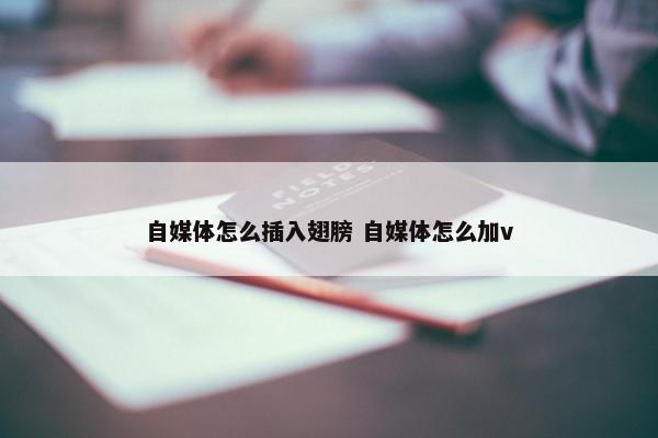 自媒体怎么插入翅膀 自媒体怎么加v