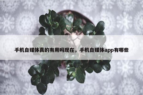 手机自媒体真的有用吗现在，手机自媒体app有哪些