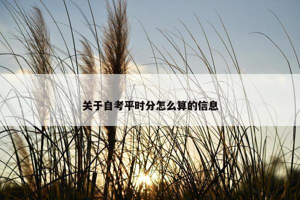 关于自考平时分怎么算的信息