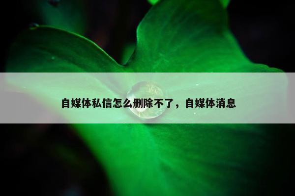 自媒体私信怎么删除不了，自媒体消息