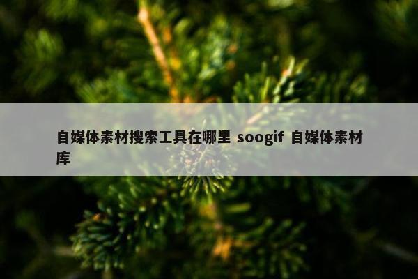 自媒体素材搜索工具在哪里 soogif 自媒体素材库