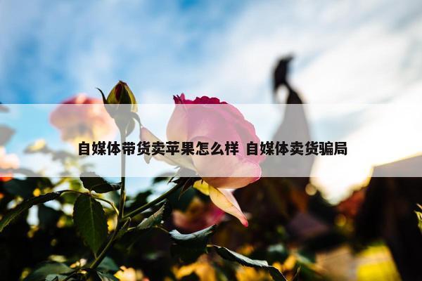 自媒体带货卖苹果怎么样 自媒体卖货骗局