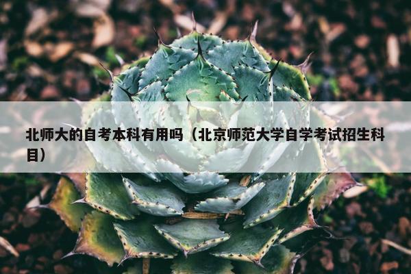 北师大的自考本科有用吗（北京师范大学自学考试招生科目）