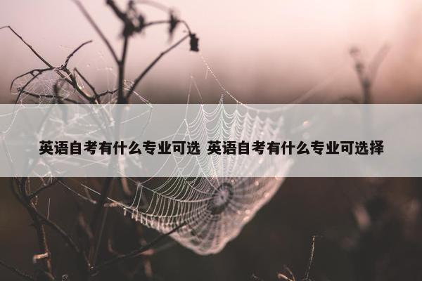 英语自考有什么专业可选 英语自考有什么专业可选择