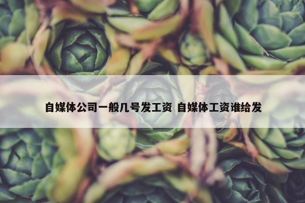 自媒体公司一般几号发工资 自媒体工资谁给发