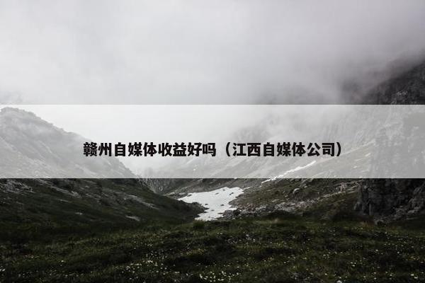 赣州自媒体收益好吗（江西自媒体公司）