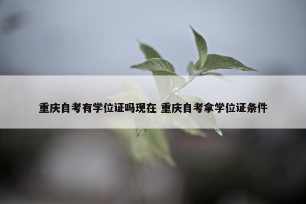 重庆自考有学位证吗现在 重庆自考拿学位证条件