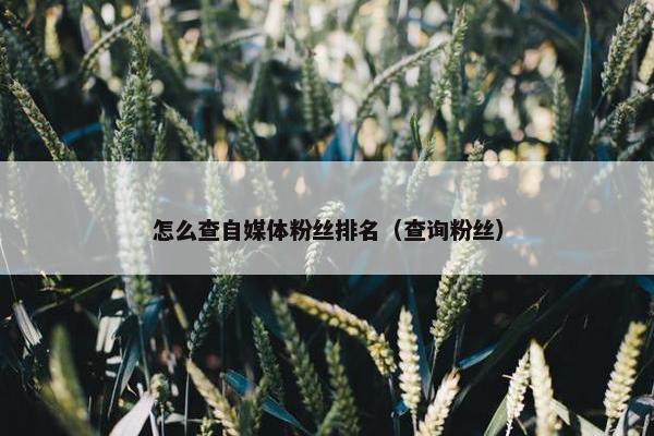 怎么查自媒体粉丝排名（查询粉丝）