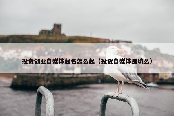 投资创业自媒体起名怎么起（投资自媒体是坑么）