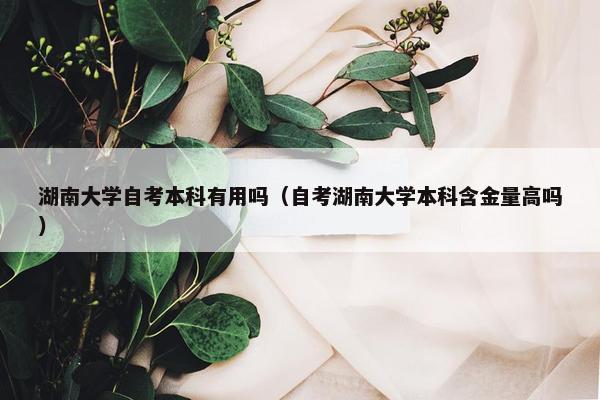 湖南大学自考本科有用吗（自考湖南大学本科含金量高吗）