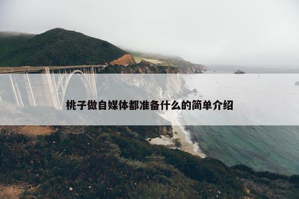 桃子做自媒体都准备什么的简单介绍