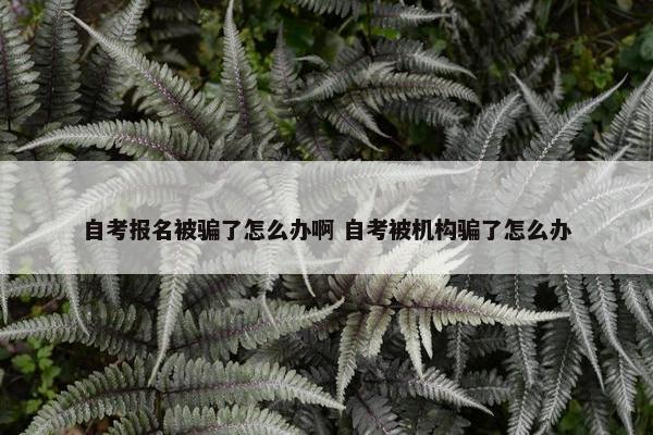 自考报名被骗了怎么办啊 自考被机构骗了怎么办