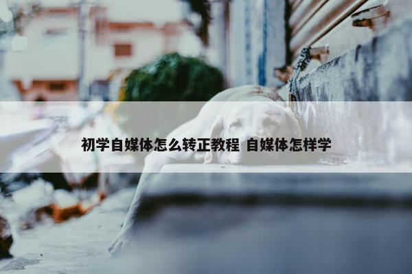 初学自媒体怎么转正教程 自媒体怎样学