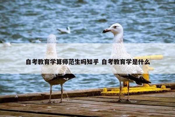 自考教育学算师范生吗知乎 自考教育学是什么