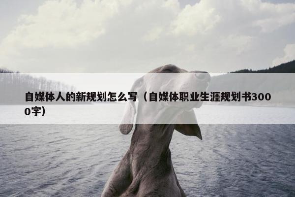 自媒体人的新规划怎么写（自媒体职业生涯规划书3000字）