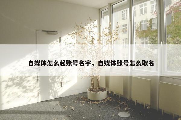 自媒体怎么起账号名字，自媒体账号怎么取名