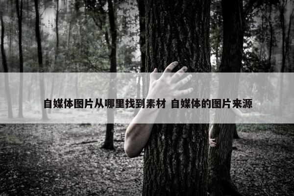 自媒体图片从哪里找到素材 自媒体的图片来源