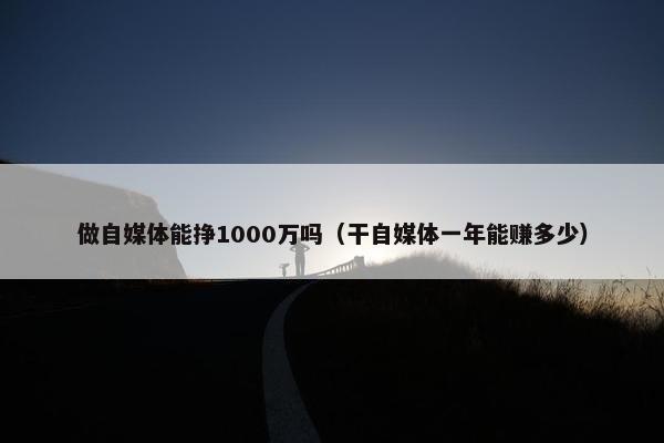 做自媒体能挣1000万吗（干自媒体一年能赚多少）