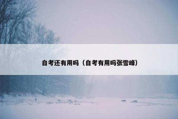 自考还有用吗（自考有用吗张雪峰）