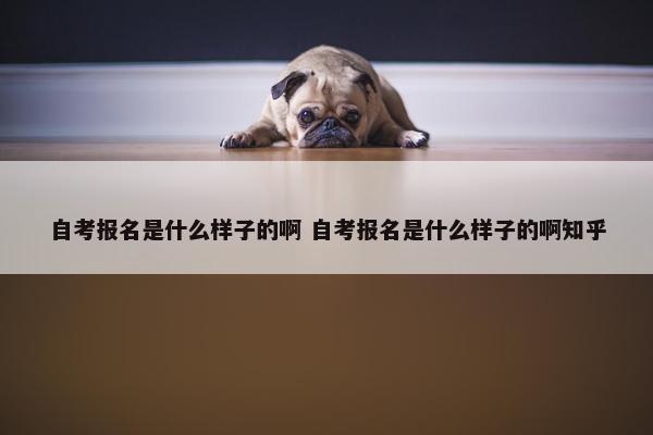 自考报名是什么样子的啊 自考报名是什么样子的啊知乎