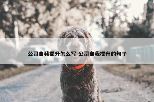 公司自我提升怎么写 公司自我提升的句子