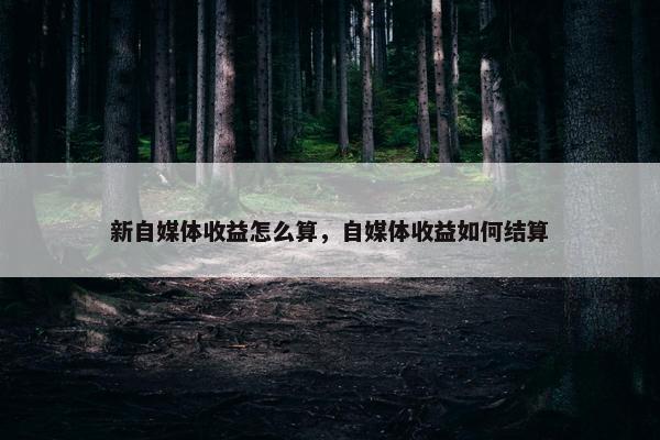 新自媒体收益怎么算，自媒体收益如何结算