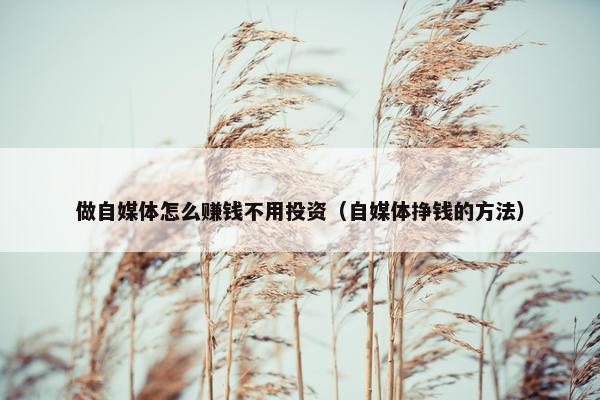 做自媒体怎么赚钱不用投资（自媒体挣钱的方法）