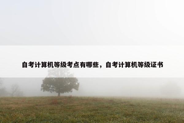 自考计算机等级考点有哪些，自考计算机等级证书