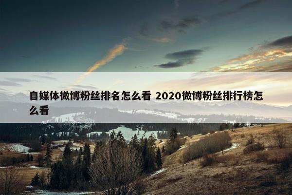 自媒体微博粉丝排名怎么看 2020微博粉丝排行榜怎么看