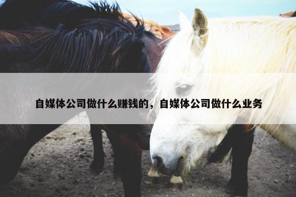 自媒体公司做什么赚钱的，自媒体公司做什么业务