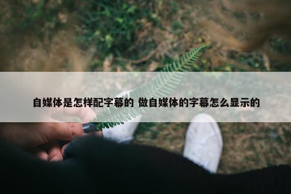 自媒体是怎样配字幕的 做自媒体的字幕怎么显示的