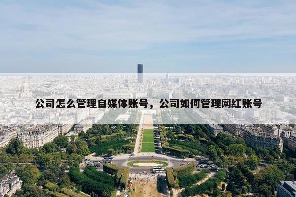 公司怎么管理自媒体账号，公司如何管理网红账号