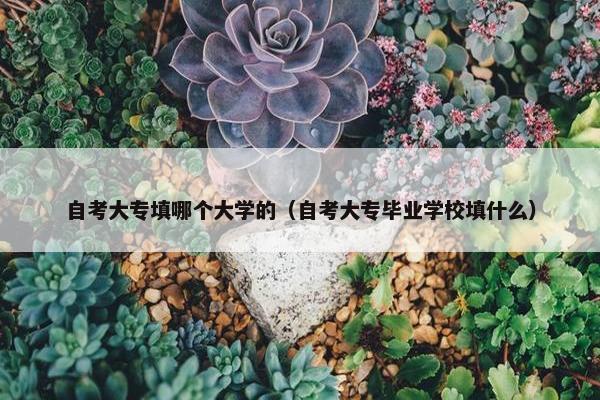 自考大专填哪个大学的（自考大专毕业学校填什么）