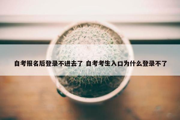 自考报名后登录不进去了 自考考生入口为什么登录不了