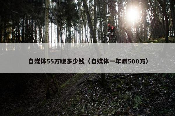 自媒体55万赚多少钱（自媒体一年赚500万）