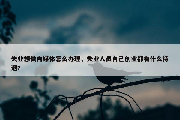 失业想做自媒体怎么办理，失业人员自己创业都有什么待遇?